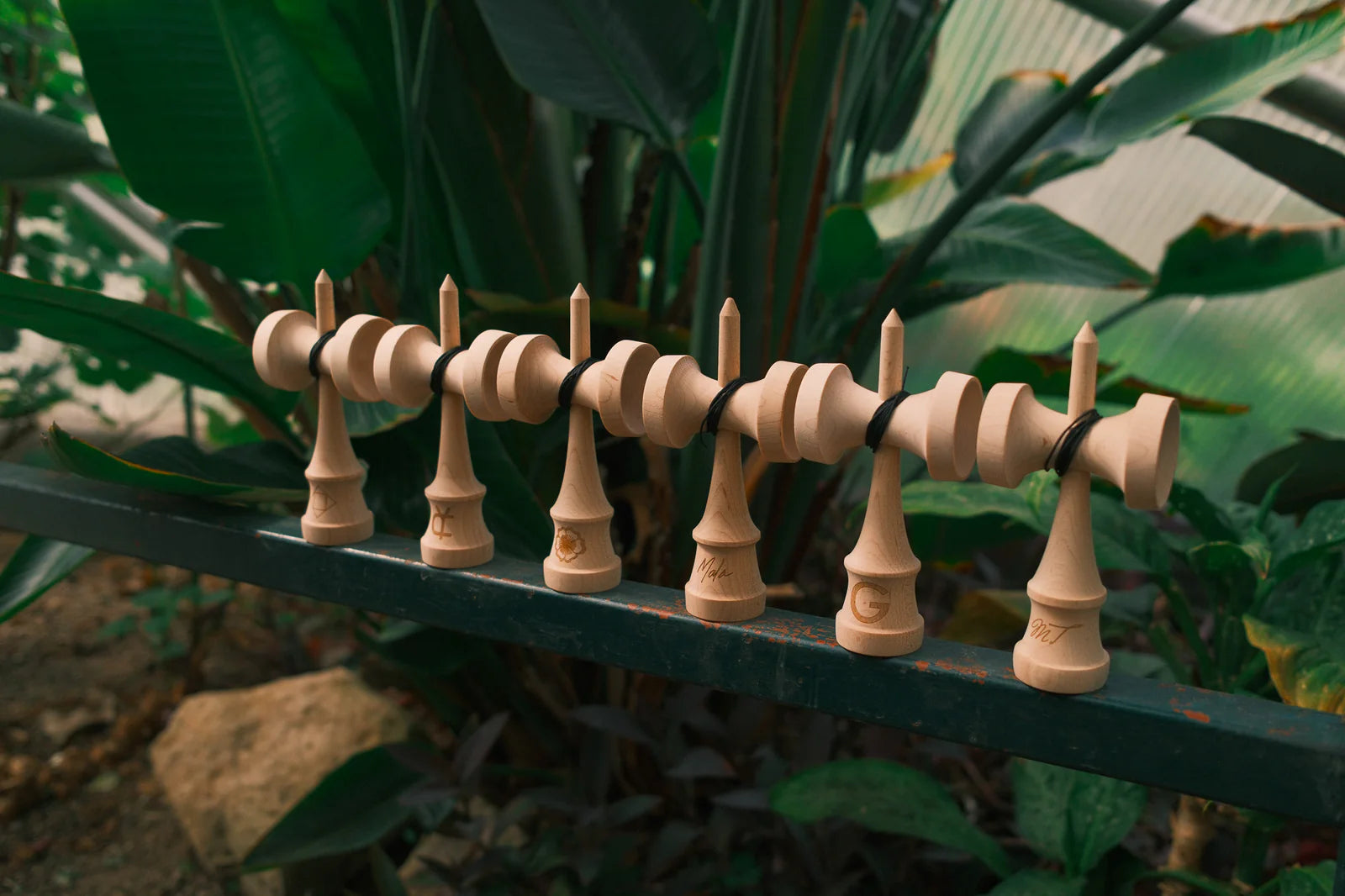 Lotus Sampler Kens - 6 Shapes